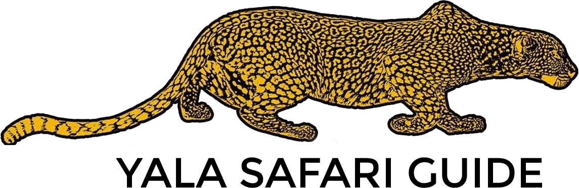 Yala Safari Guide